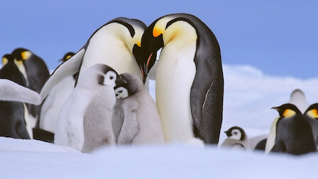 Watch Mate Expectations. Episode 3 of Season 1.