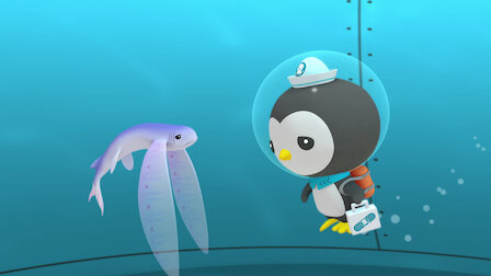 Watch The Flying Fish / The Narwhal. Episode 3 of Season 1.