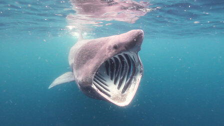 Watch Raging Waters. Episode 2 of Season 1.