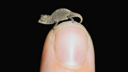 Watch Strangerer Things. Episode 10 of Season 1.