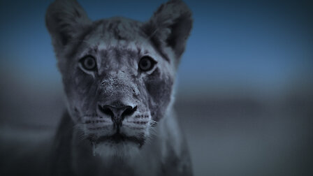 Watch Dusk Till Dawn. Episode 6 of Season 1.