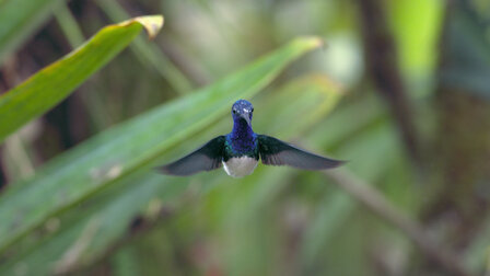 Watch The Flight Stuff. Episode 7 of Season 1.