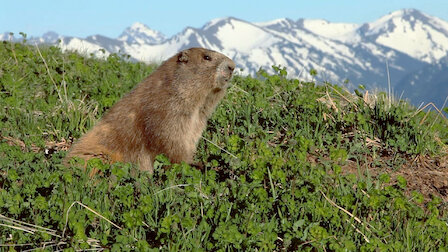 Watch Fights, Camera, Action!. Episode 9 of Season 1.