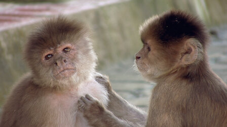 Watch We're All the Same. Episode 11 of Season 1.