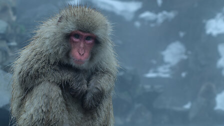 Watch Frozen Nights. Episode 2 of Season 1.