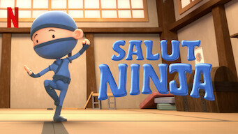 Salut Ninja (2021)