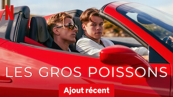 Les Gros Poissons (2024)