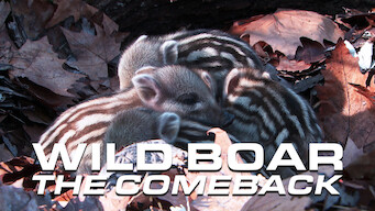 Wild Boar: The Comeback (2017)