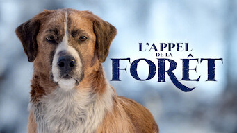 L'Appel de la forêt (2020)