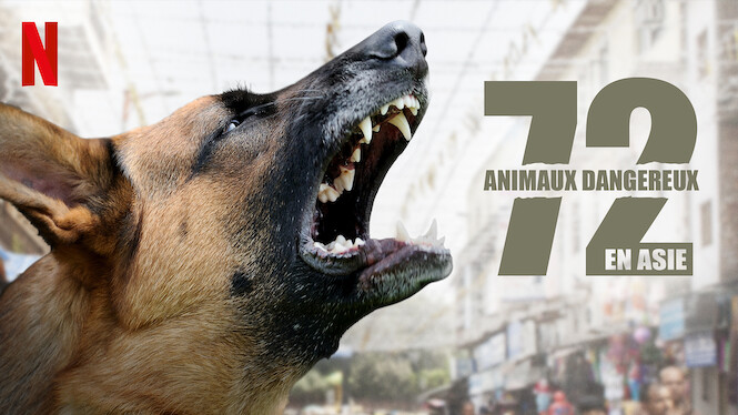 Les 72 Animaux Les Plus Dangereux 72 animaux dangereux en Asie (2018) - Netflix | Flixable