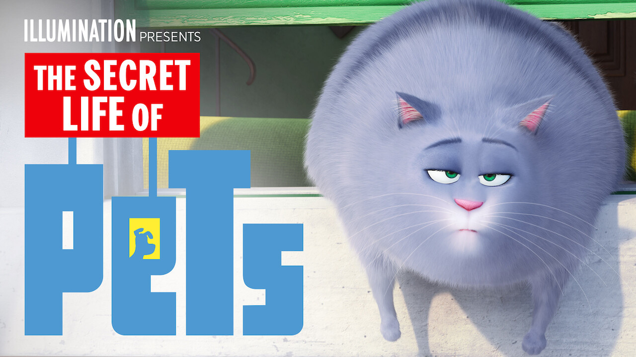 Secret life of cats sales netflix