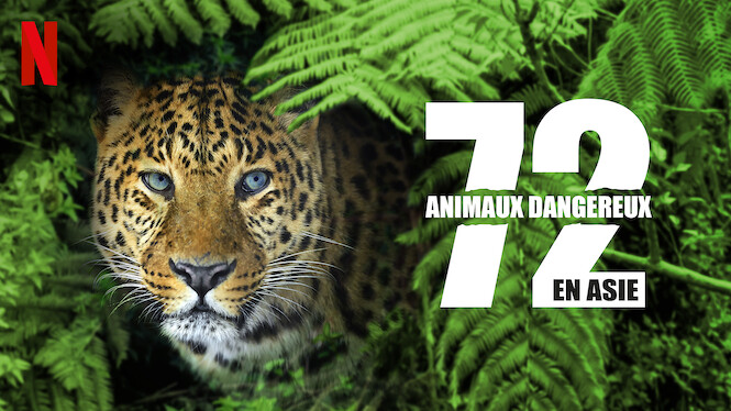 Les 72 Animaux Les Plus Dangereux 72 animaux dangereux en Asie (2018) - Netflix | Flixable