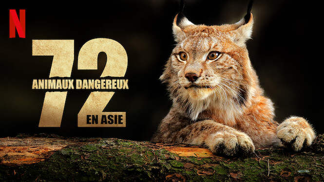 Les 72 Animaux Les Plus Dangereux 72 animaux dangereux en Asie (2018) - Netflix | Flixable