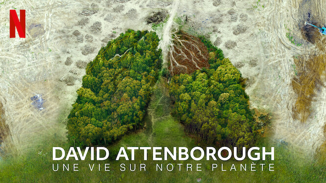 David Attenborough Une Vie Sur Notre Planète David Attenborough : Une vie sur notre planète (2020) - Netflix | Flixable