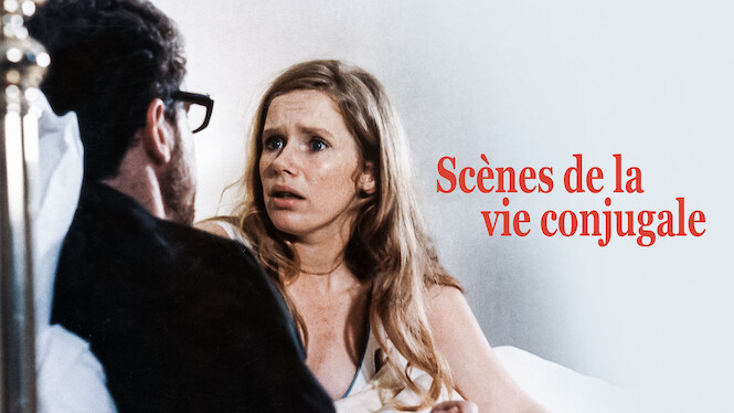 Scenes De La Vie Conjugale Film Scènes de la vie conjugale (1973) - Netflix | Flixable