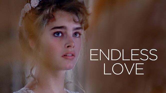 Un Amour Infini Streaming Un amour infini (1981) - Netflix | Flixable