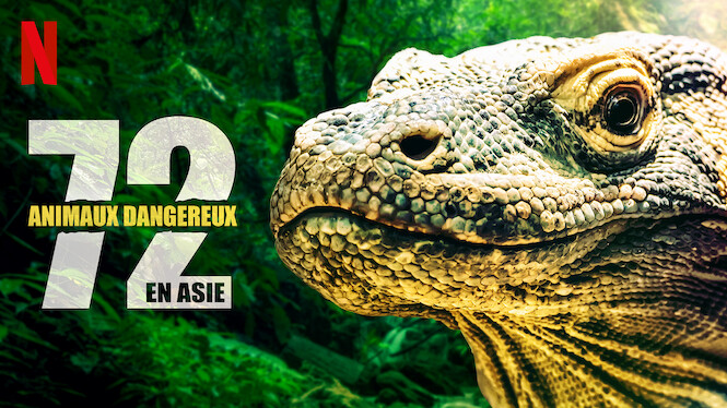 Les 72 Animaux Les Plus Dangereux 72 animaux dangereux en Asie (2018) - Netflix | Flixable
