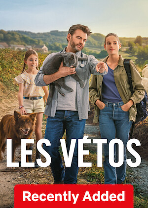 The Vets poster